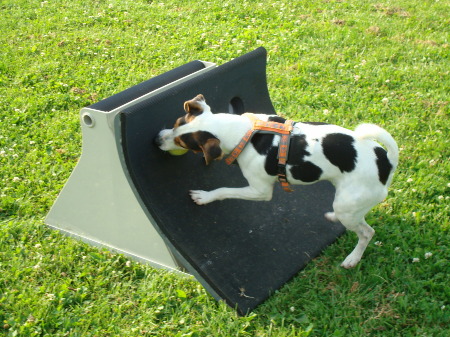 Vivi an der Maschine